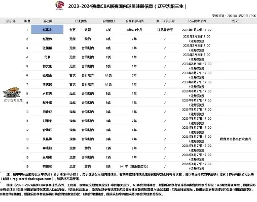 如何在CBA官网进行有效投票？-第3张图片-www.211178.com_果博福布斯