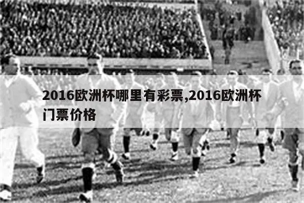 2016欧洲杯入场 欧洲杯入场时间和门票信息-第2张图片-www.211178.com_果博福布斯